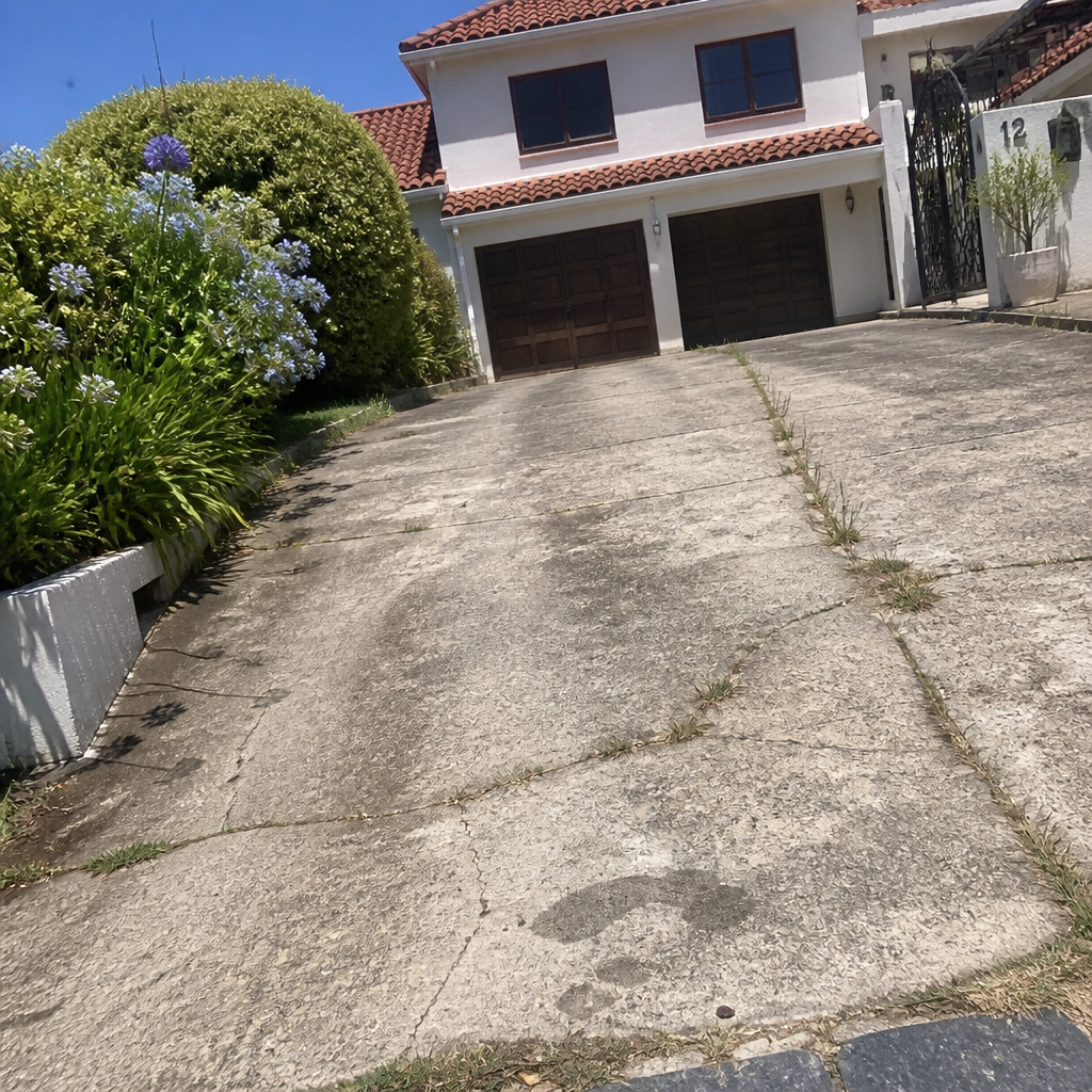 Before — Driveway renewal Constantia